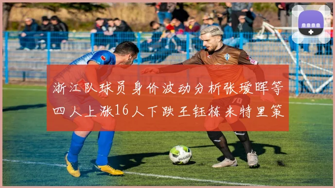 浙江队球员身价波动分析张瑷晖等四人上涨16人下跌王钰栋米特里策保持不变