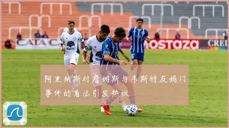 阿里纳斯对詹姆斯与韦斯特友妈门事件的看法引发热议