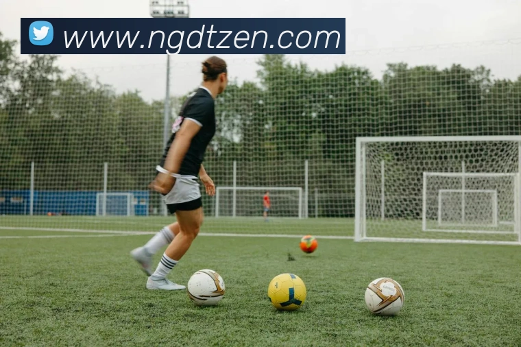 NG大舞台平台生态图